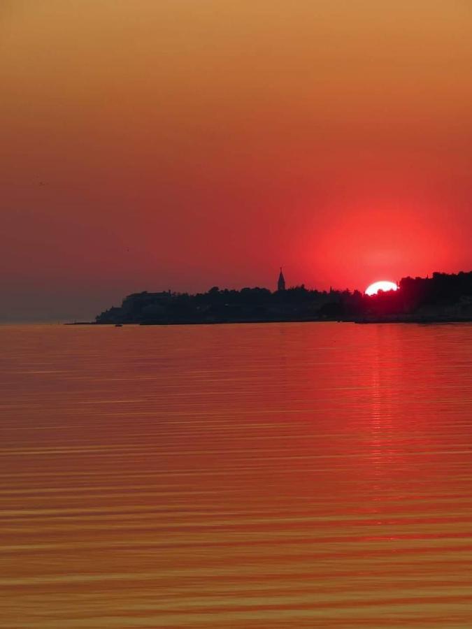 Apartments Roberta Novigrad Istria Buitenkant foto